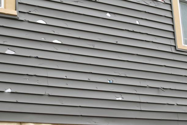 Best Historical Building Siding Restoration  in Bucyrus, OH